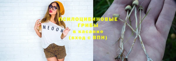 мет Аркадак