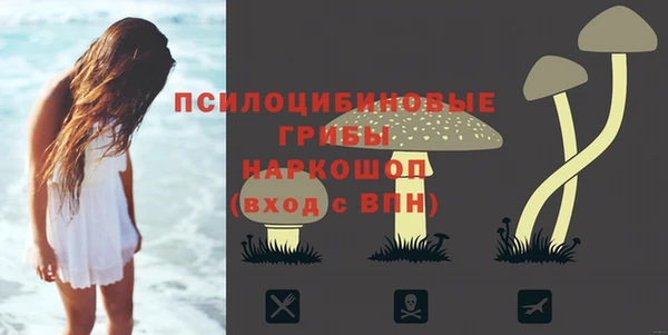 ECSTASY Арсеньев