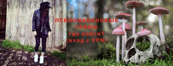 мет Аркадак